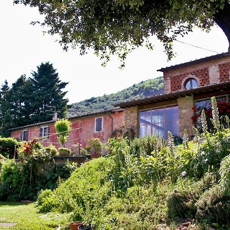 Casa Gaia Guest House Lucca Exterior photo